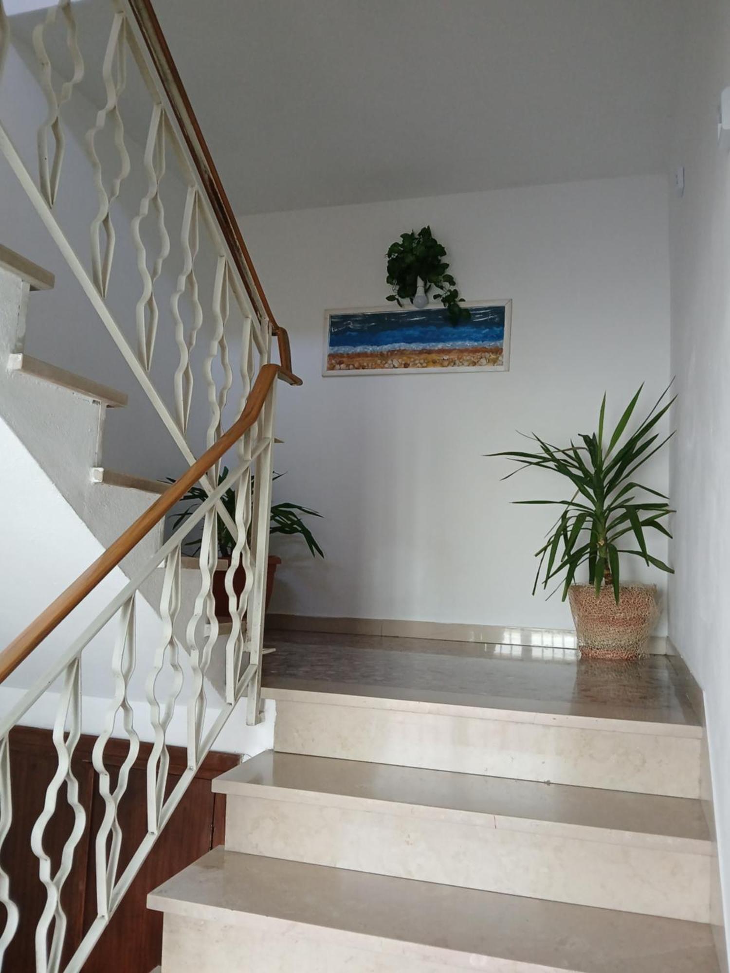 Casa Vacanza Le Due Stelle San Romano  Ngoại thất bức ảnh